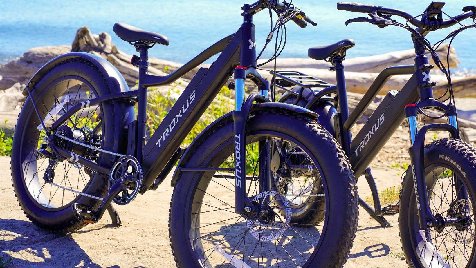 <strong>Are Electric Bikes Worth the Investment?</strong>